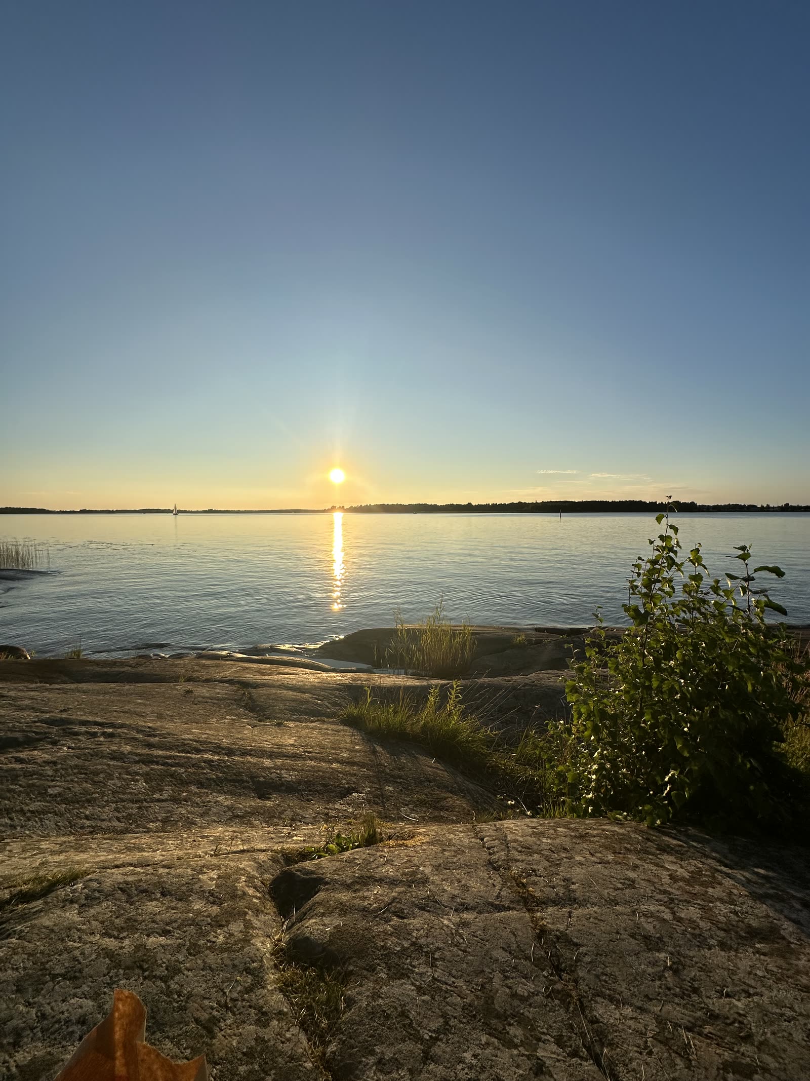The sun low over open water from a flat rock on the shore, its light running back across the waves
